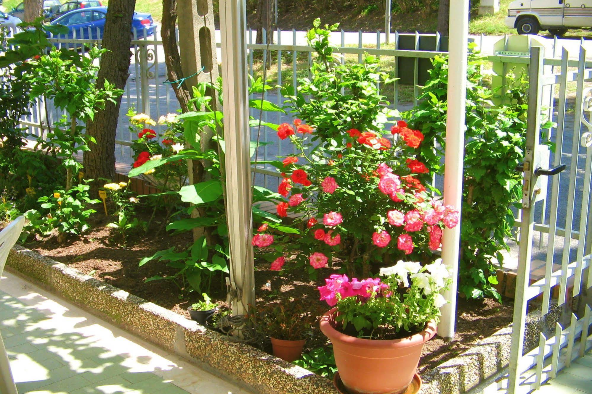 Villa Lauda B&B 리미니 외부 사진
